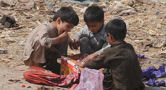 24小时呼叫轰炸神器